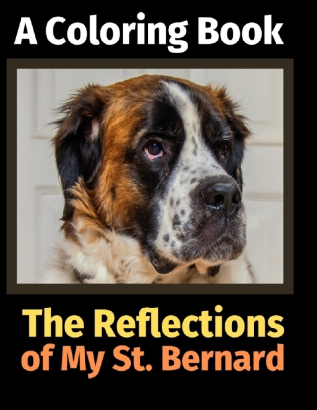 The Reflections of My St. Bernard av Brightview Activity Books (Paperback)
