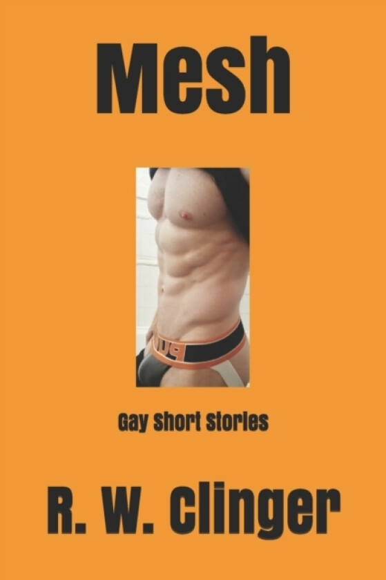 Mesh av R W Clinger (Paperback)