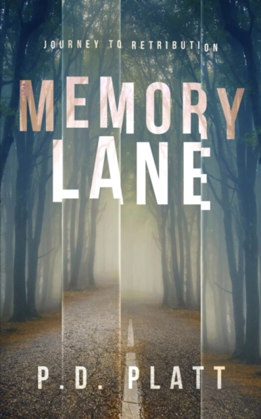 Memory Lane av P D Platt (Paperback)