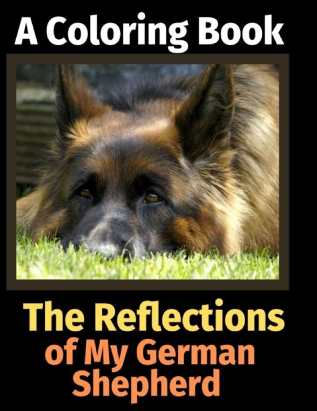 The Reflections of My German Shepherd av Brightview Activity Books (Paperback)