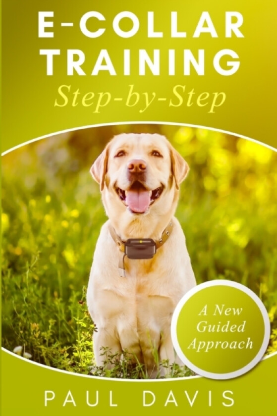 E-collar Training Step-by-Step av Paul Davis (Paperback)