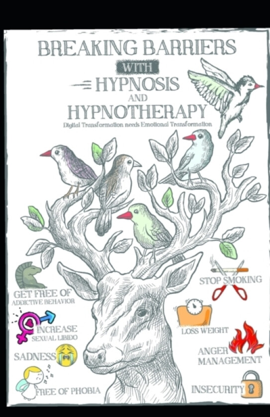 Breaking Barriers with Hypnosis and Hypnotherapy av Michaela Esswein (Paperback)