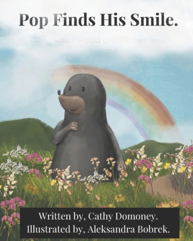 Pop Finds His Smile av Aleksandra Bobrek, Cathy Domoney (Paperback)