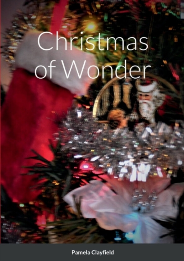 Christmas of Wonder av Pamela Clayfield (Paperback)