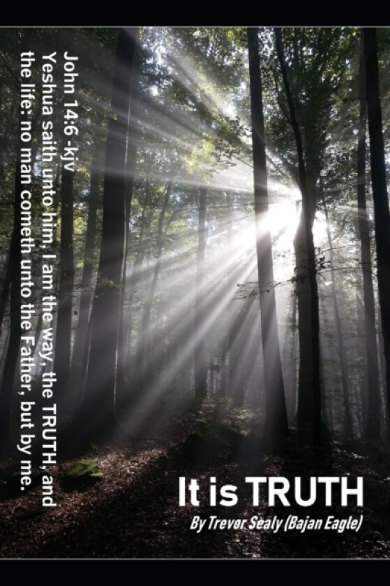 It is TRUTH av Trevor Sealy (Paperback)