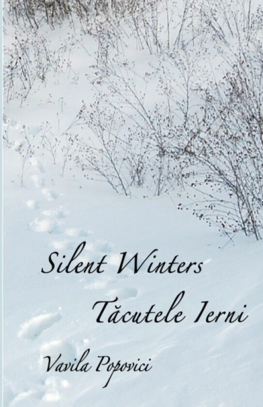 Tacutele Ierni av Vavila Popovici (Paperback)