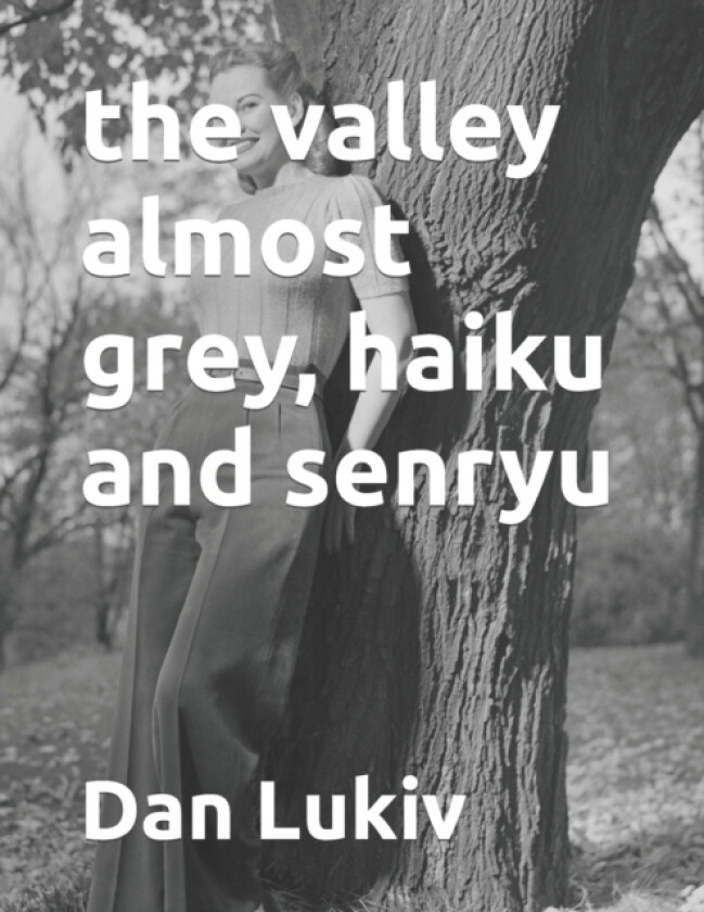 The valley almost grey, haiku and senryu av Dan Lukiv (Paperback)