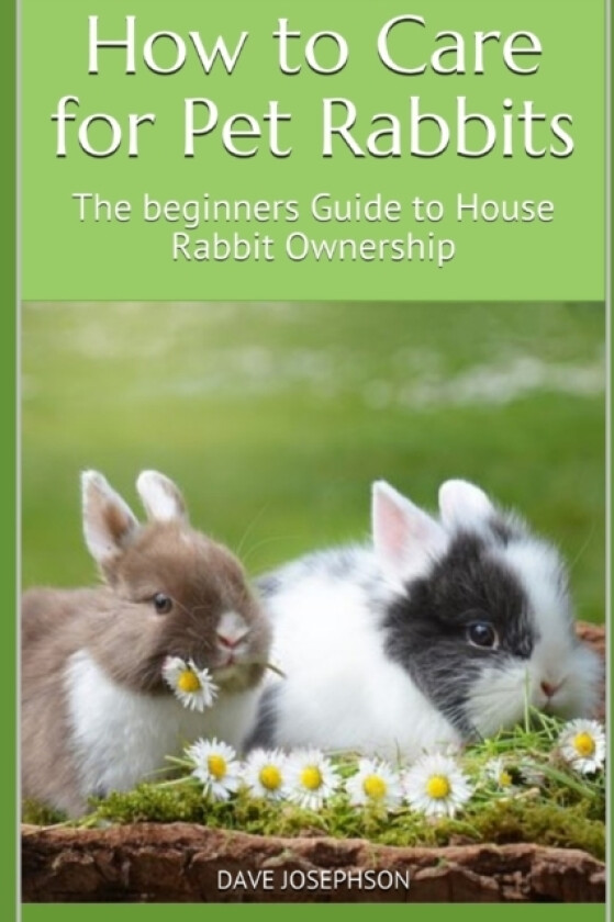 How to Care for Pet Rabbits av Dave Josephson (Paperback)