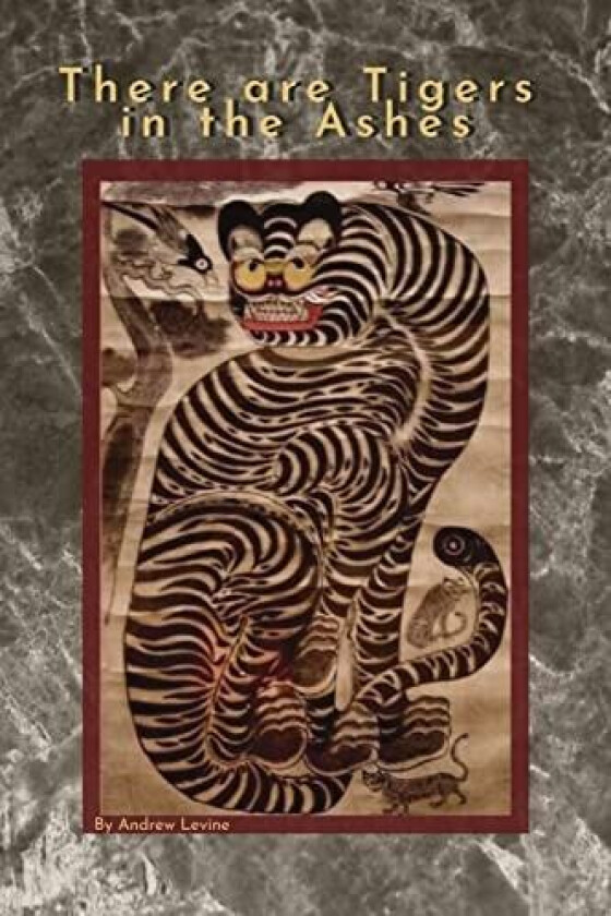 There are Tigers in the Ashes av Andrew Levine (Paperback)