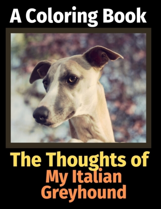 The Thoughts of My Italian Greyhound av Brightview Activity Books (Paperback)