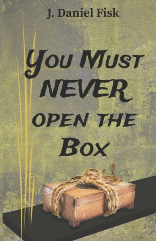 You Must Never Open the Box av J Daniel Fisk (Paperback)