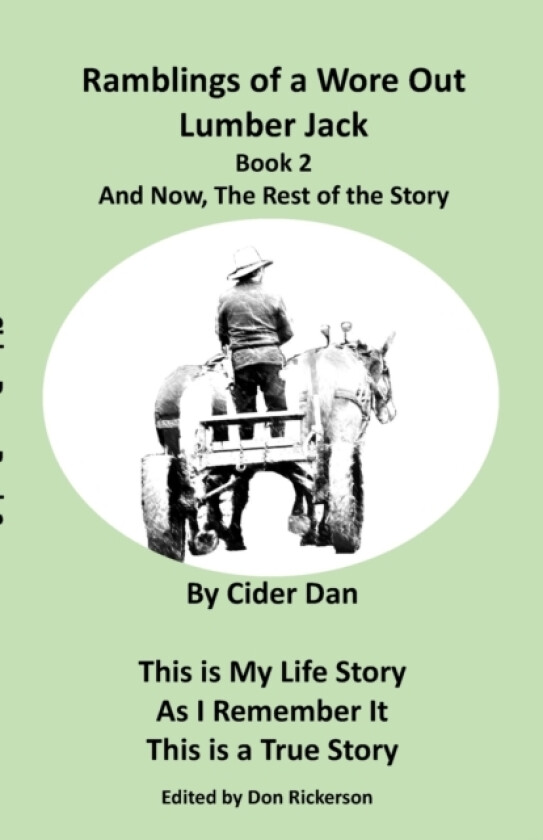 Cider Dan - Book 2 av Dan Byler (Paperback)