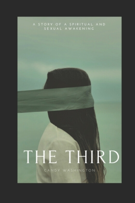 The Third av Candy Washington (Paperback)