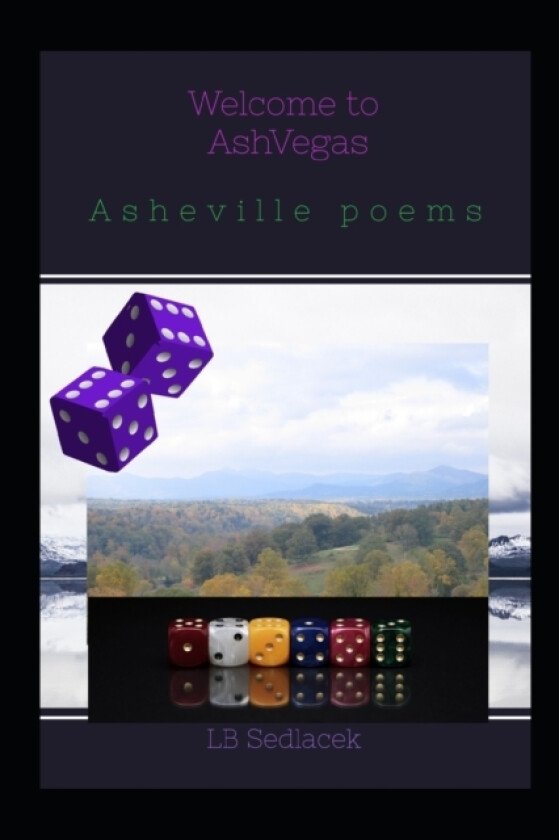 Welcome to AshVegas av Lb Sedlacek (Paperback)