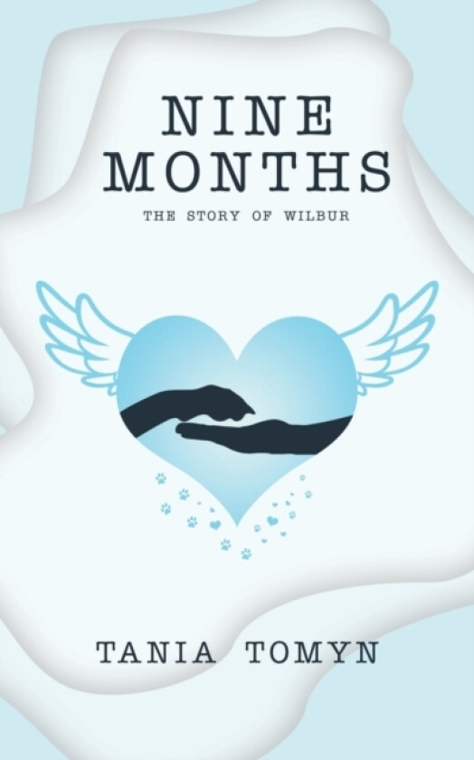 Nine Months av Tania Tomyn (Paperback)