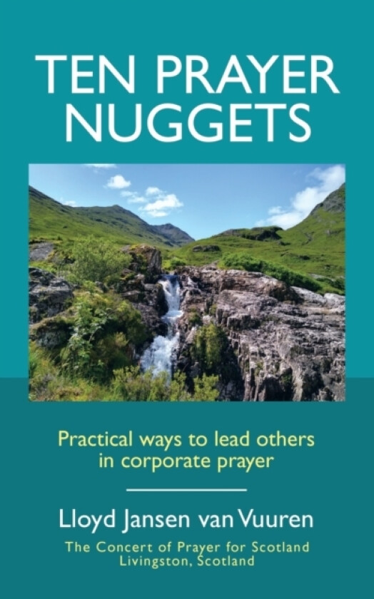Ten Prayer Nuggets av Lloyd Jansen Van Vuuren (Paperback)
