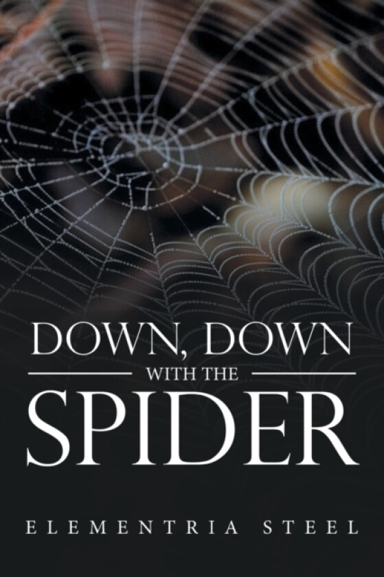 Down, Down with the Spider av Elementria Steel (Paperback)
