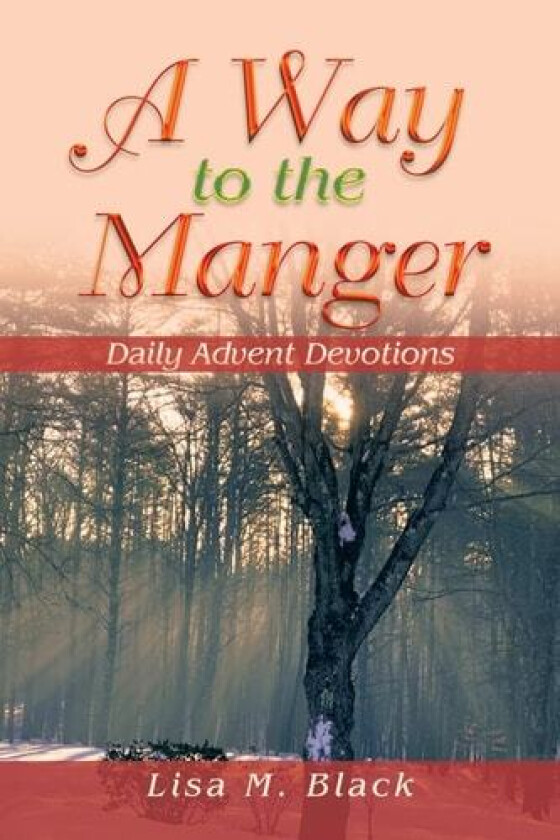 A Way to the Manger av Lisa M Black (Paperback)