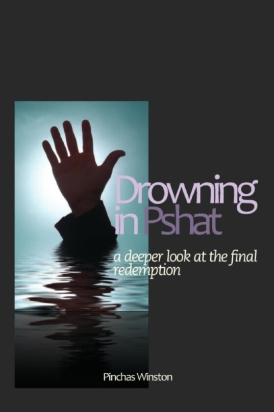 Drowning In Pshat av Pinchas Winston (Paperback)