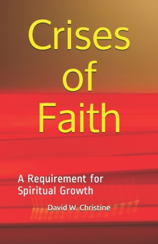 Crises of Faith av David Wayne Christine (Paperback)