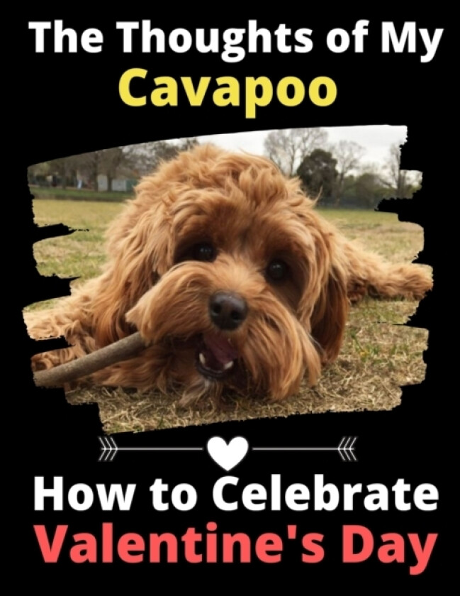 The Thoughts of My Cavapoo av Brightview Activity Books (Paperback)
