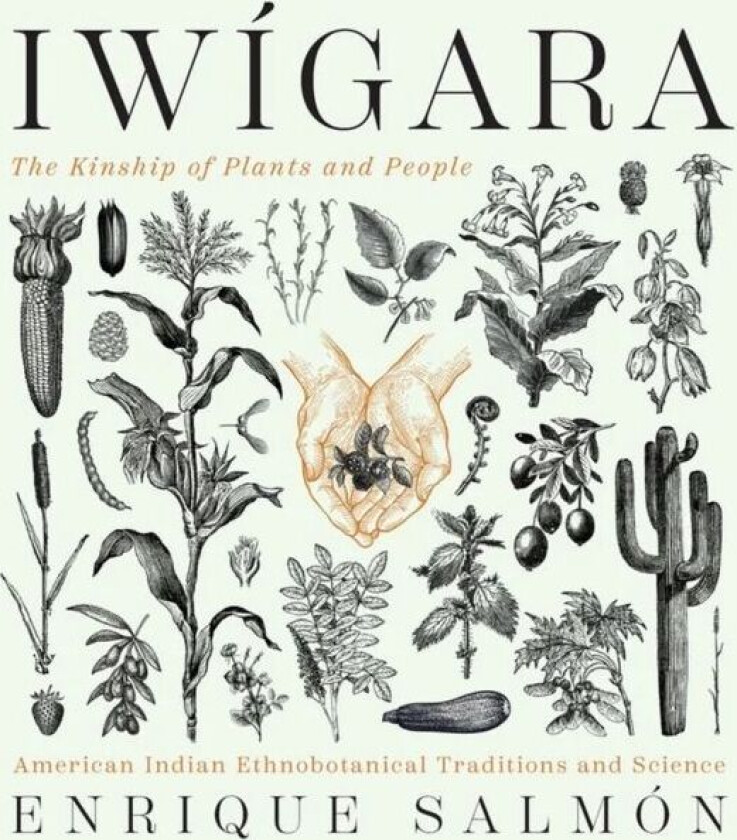 Iwigara av Enrique Salmon