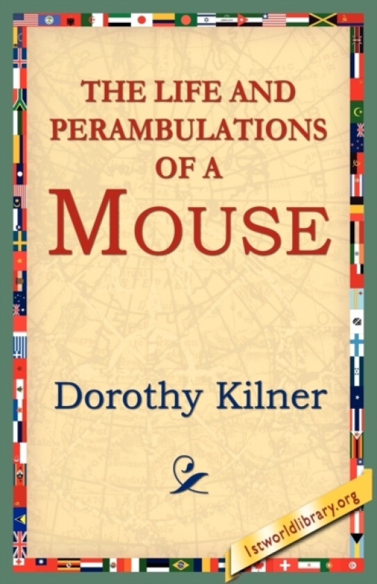 The Life and Perambulations of a Mouse av Dorothy Kilner (Paperback)