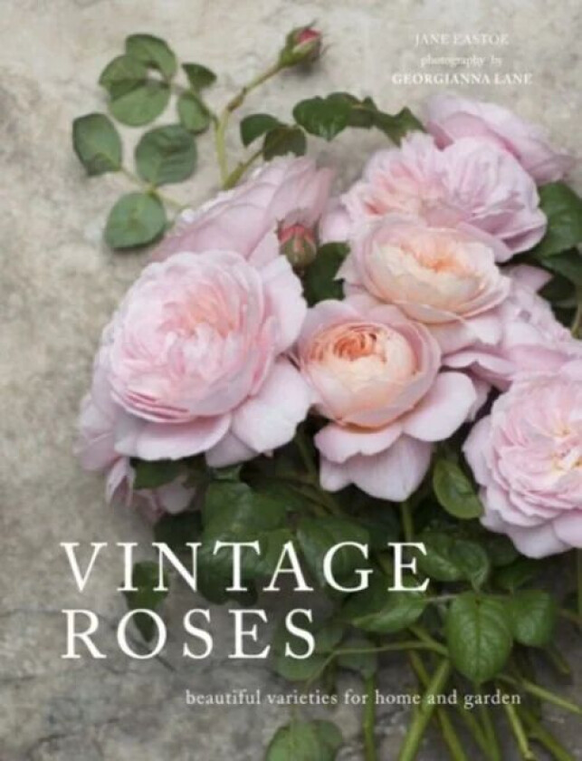 Vintage Roses av Jane Eastoe