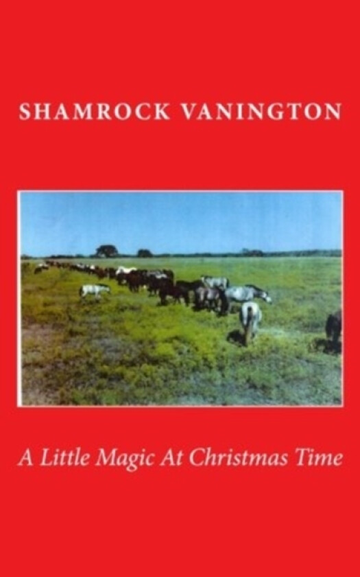 A Little Magic At Christmas Time av Patti Witter (Paperback)