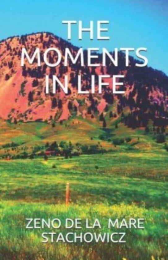 The Moments In Life av Zeno de la Mare Stachowicz (Paperback)