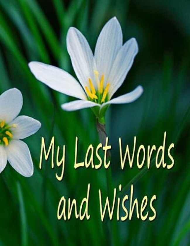 My Last Words and Wishes av Chris Fairweather (Paperback)
