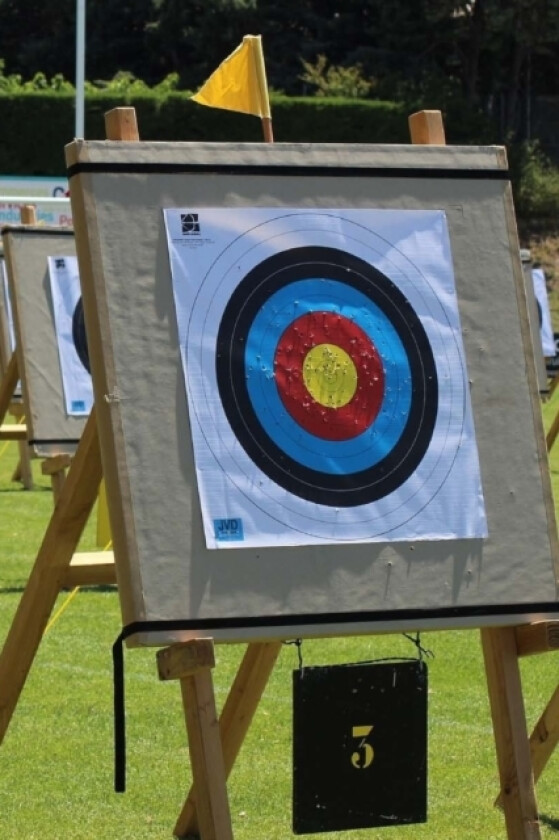 Archery av Wild Pages Press (Paperback)