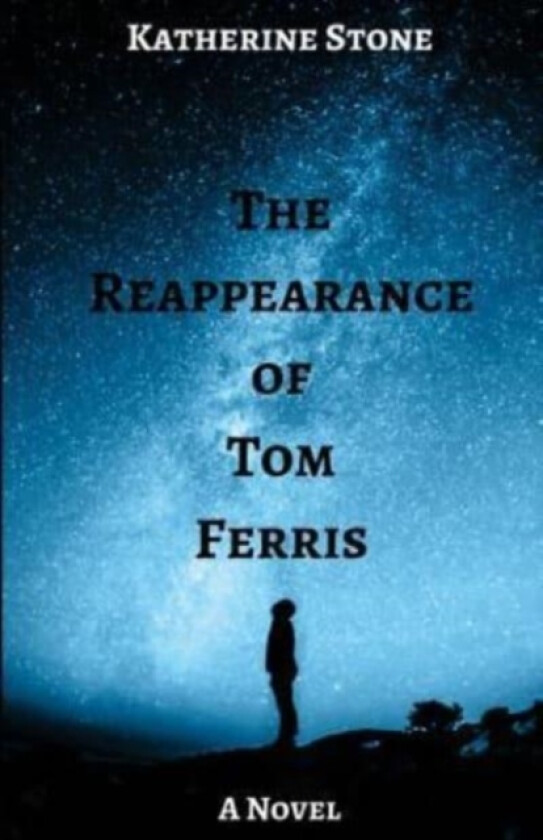 The Reappearance of Tom Ferris av Katherine Stone (Paperback)