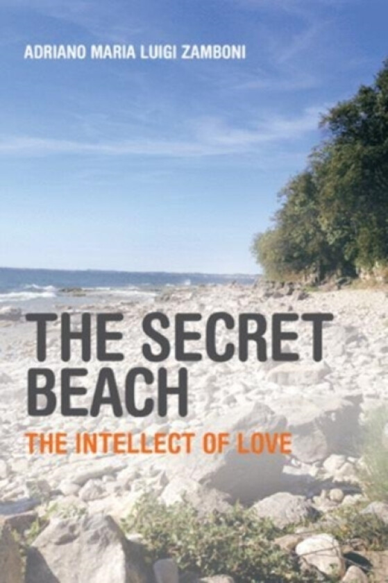 The Secret Beach av Adriano Maria Luigi Zamboni (Paperback)