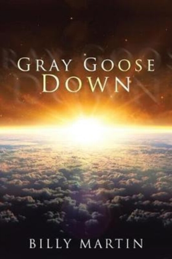 Gray Goose Down av Billy Martin (Paperback)