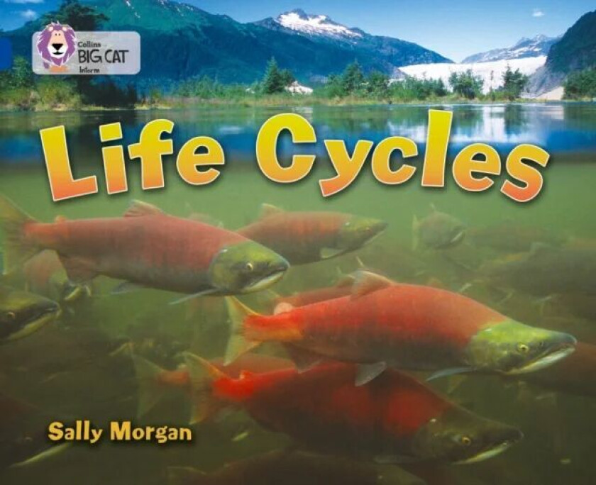 Life Cycles av Sally Morgan