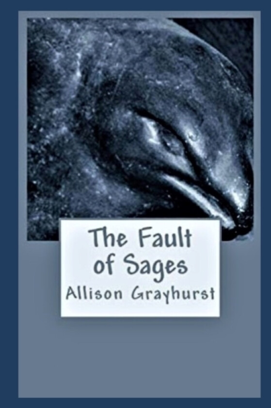 The Fault of Sages av Allison Grayhurst (Paperback)