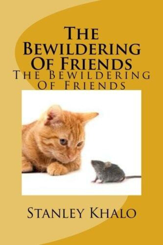 The Bewildering Of Friends av Stanley Mahlatse Khalo (Paperback)