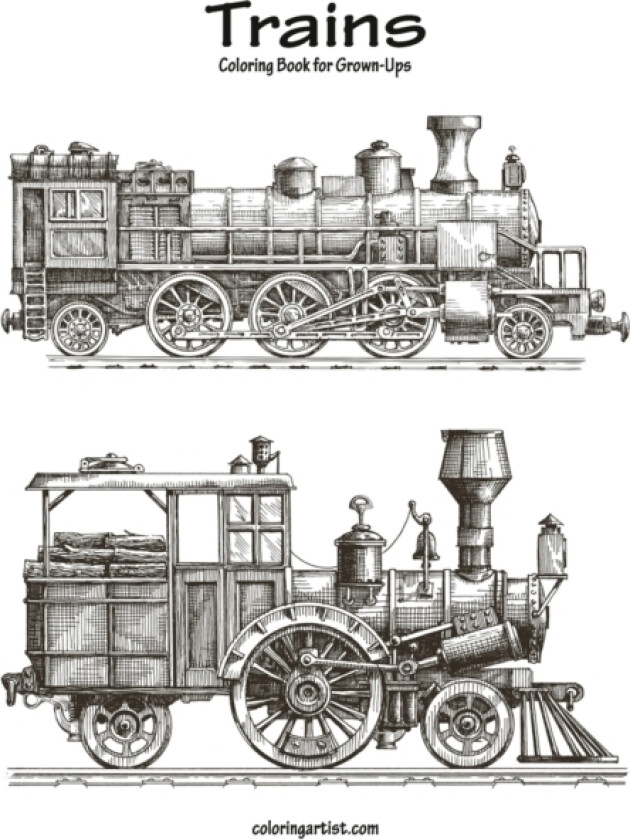 Trains Coloring Book for Grown-Ups 1 av Nick Snels (Paperback)