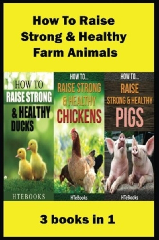 How To Raise Strong & Healthy Farm Animals av Htebooks (Paperback)