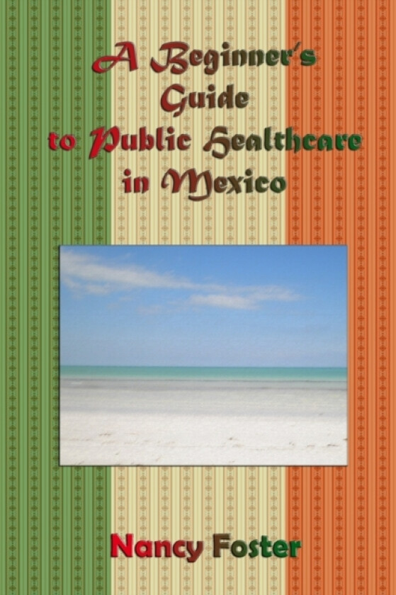 A Beginner's Guide to Public Healthcare in Mexico av Nancy Foster (Paperback)