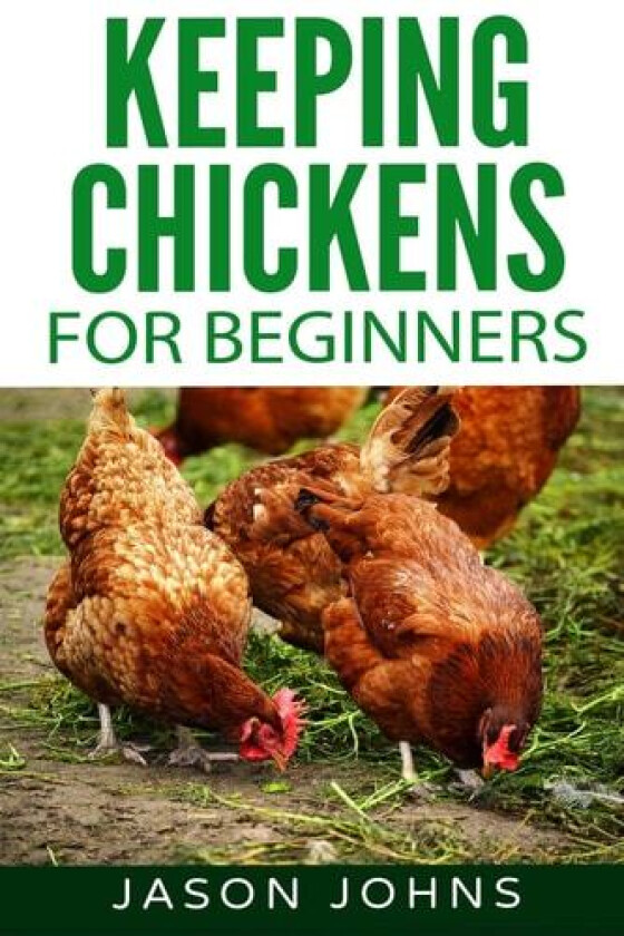 Keeping Chickens For Beginners av Jason Johns (Paperback)