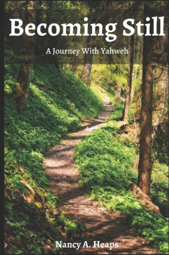 Becoming Still av Nancy a Heaps (Paperback)