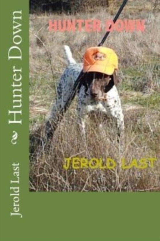Hunter Down av Jerold Last (Paperback)