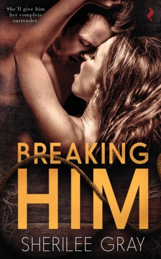 Breaking Him av Sherilee Gray (Paperback)