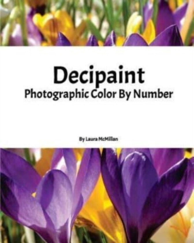 Decipaint av Laura McMillan (Paperback)