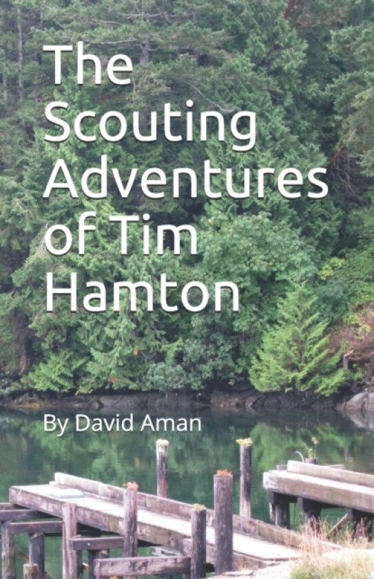 The Scouting Adventures of Tim Hamton av David Aman (Paperback)