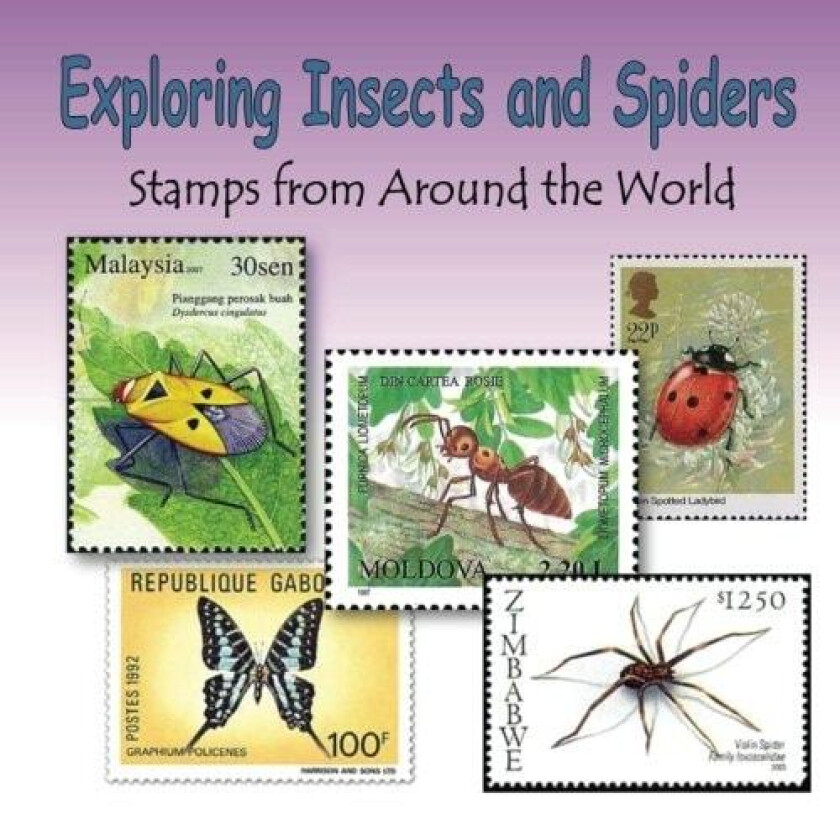 Exploring Insects and Spiders av C Mahoney (Paperback)