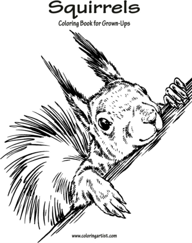 Squirrels Coloring Book for Grown-Ups 1 av Nick Snels (Paperback)