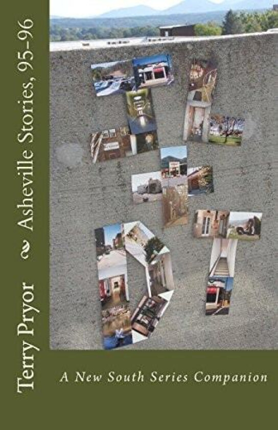 Asheville Stories, 95-96 (New South) av Terry Pryor (Paperback)